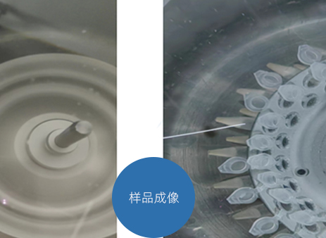 样品成像系统